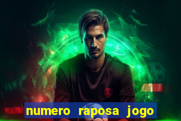 numero raposa jogo do bicho